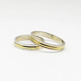 ALIANZA CENTRO AMARILLO /PLATA Y ORO